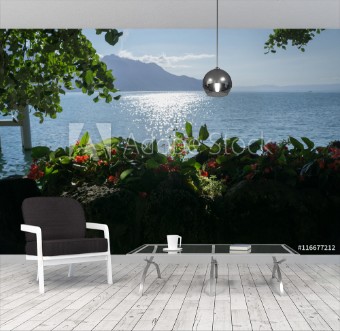 Picture of Romantic scenery over Lake Geneva